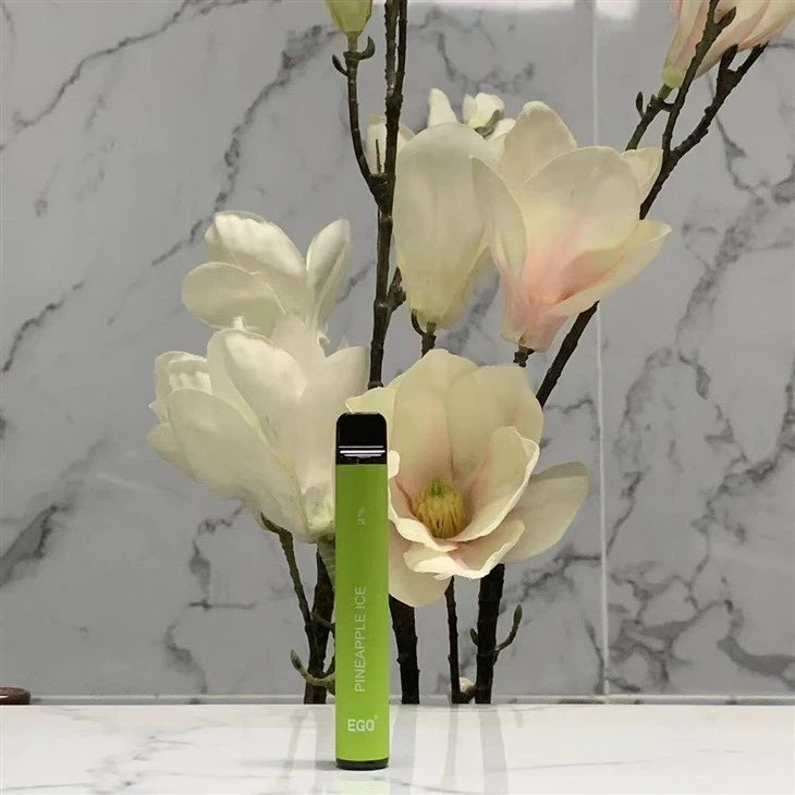 Disposable Vape With 600 Puffs