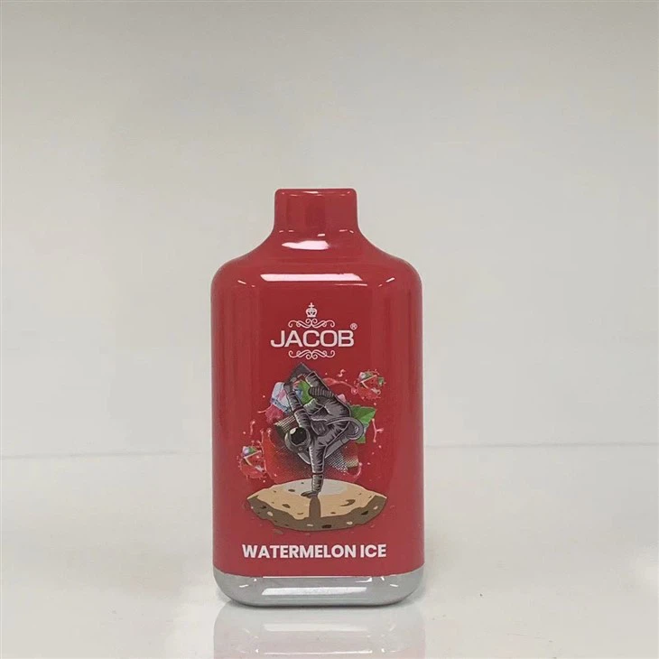 Long Lasting Wholesale Disposable Vape Pen Electronic Cigarette