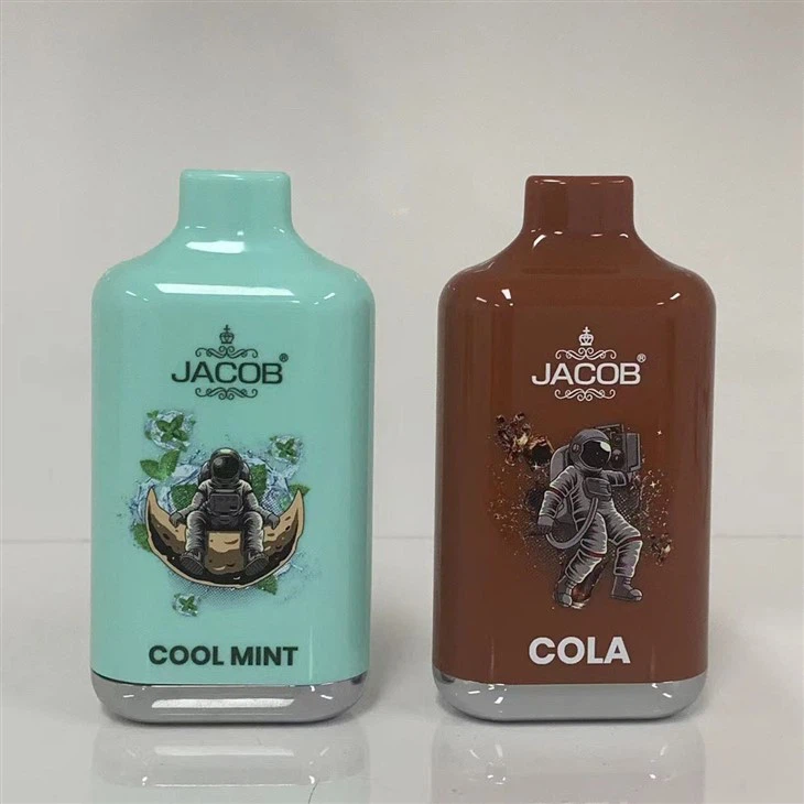 Long Lasting Wholesale Disposable Vape Pen Electronic Cigarette