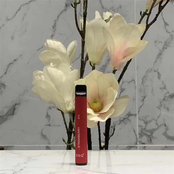 Popular Disposable Vape With 20000 Puffs