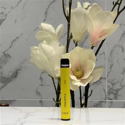 Veleprodaja I Vape jednokratni vape sa 600 udisaja