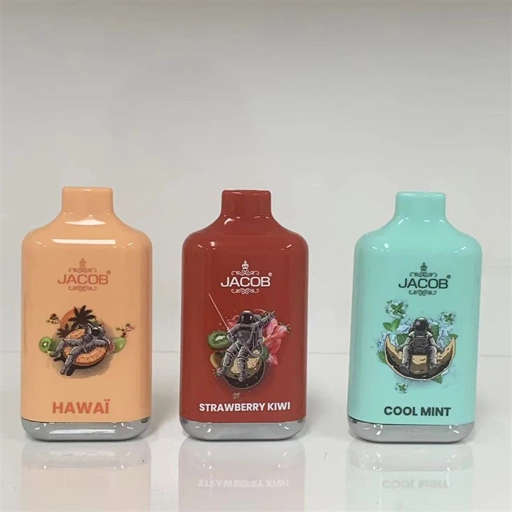 Wholesale Fruity Flavors Disposable Vape With 10000 Puffs